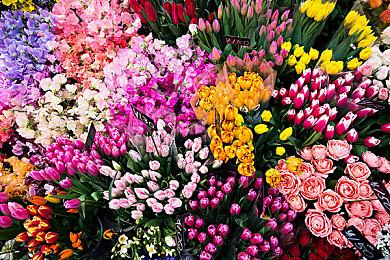 传闻：Xbox将推出XGP会员游戏限时试玩服务